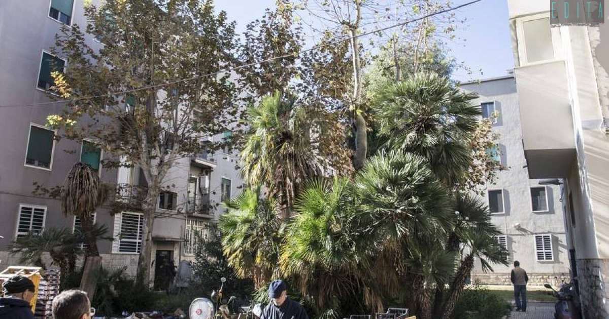 Case basse, giardini, mercati all'aperto e ponticelli: � la Japigia sorta negli anni 50